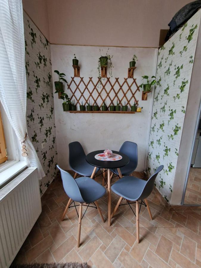Apartament Ultracentral 2 Piata Muzeului Клуж-Напока Экстерьер фото